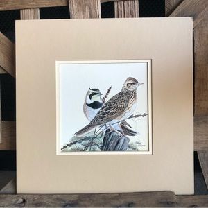 Original Arthur B. Singer (1917-1990) Horned Lark and Skylark